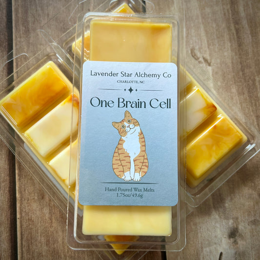 One Brain Cell 🐾 Orange Cat Wax Melts