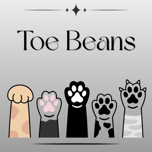 Toe Beans 🐾 Wax Melts