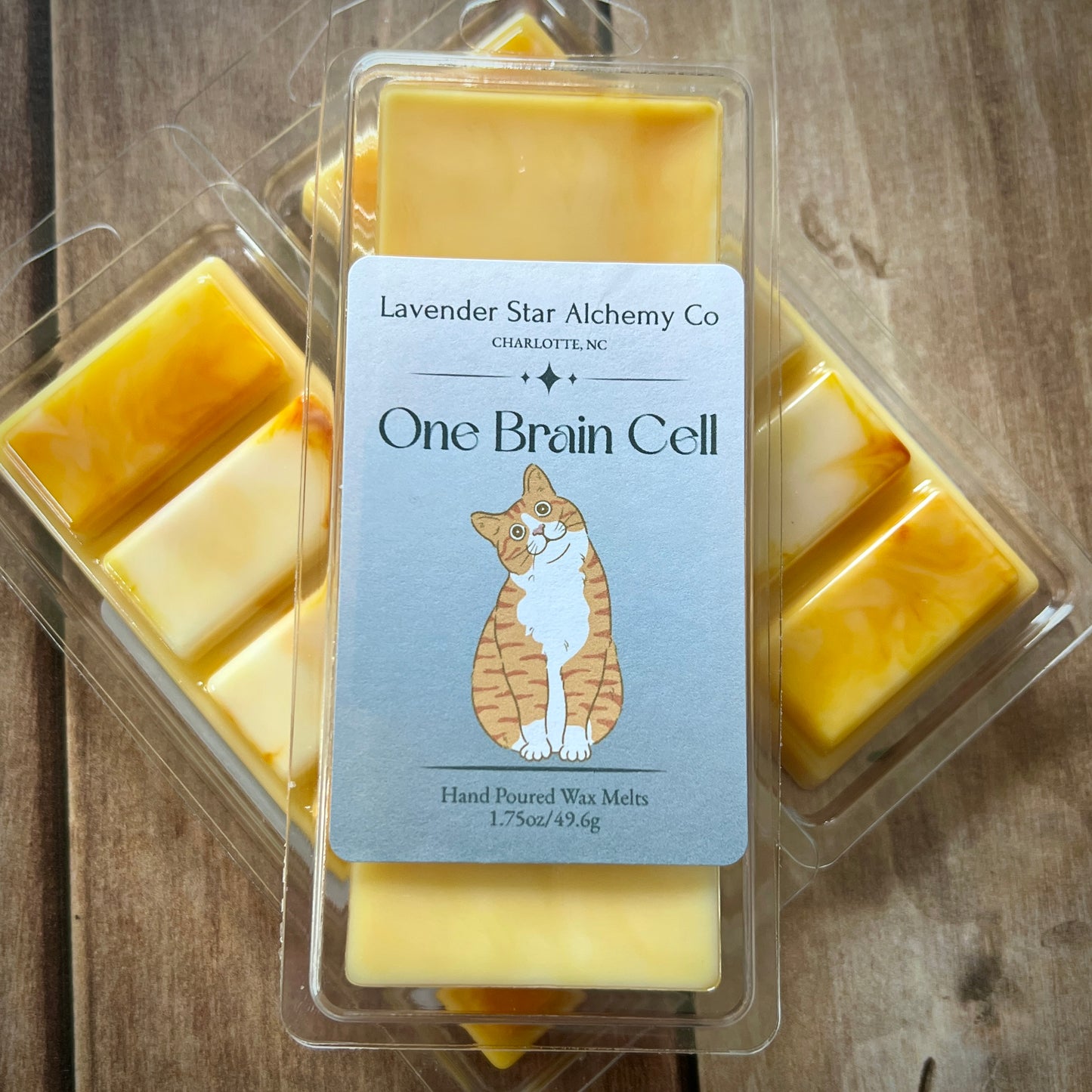 One Brain Cell 🐾 Orange Cat Wax Melts